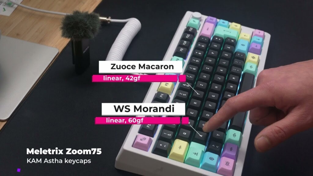 Zuoce Macaron vs. WS Morandi – Mein Switch-Soundtest mit Premiere-Feeling