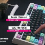 Zuoce Macaron vs WS Morandi MARVO ColorReco S75 Review